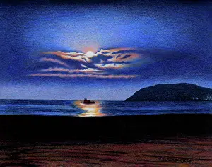 MOONLIGHT SHANNONATA moonlight shannonata